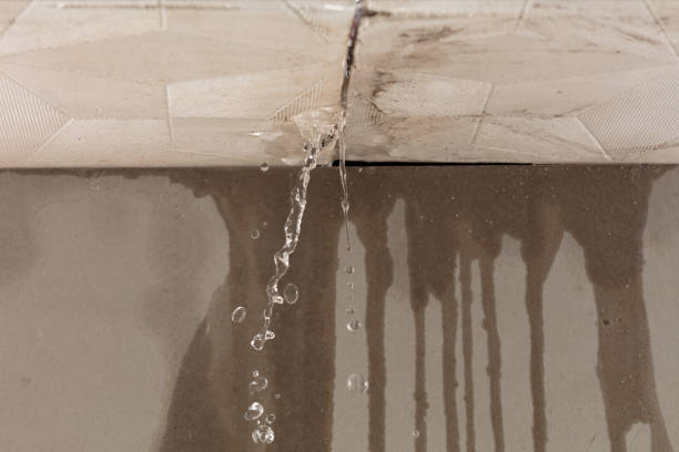 Professional Burst Pipe Cleanup technician working in Versailles, MO